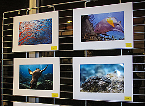 Album PDF de la Galerie Concours des Photos Exposes