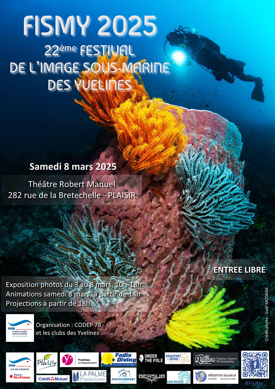 Affiche festival