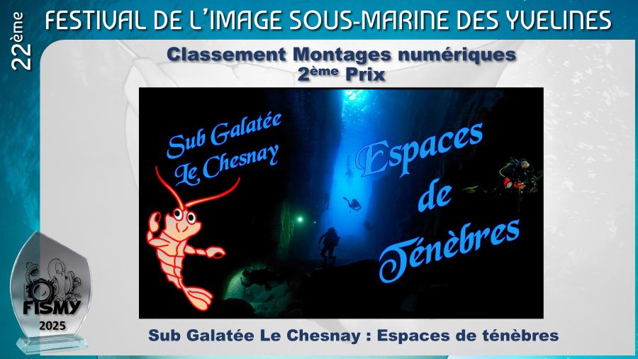 Palmares